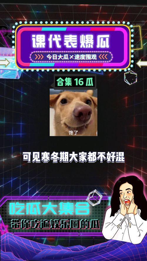 吃瓜娱乐圈八卦瓜子,揭秘明星幕后那些事儿