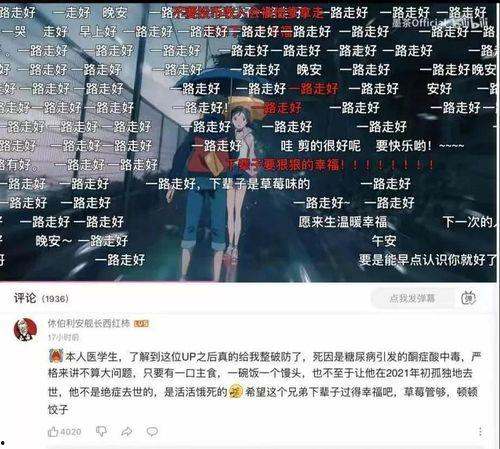 b站娱乐圈吃瓜