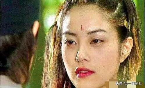 黑红小花在娱乐圈吃瓜
