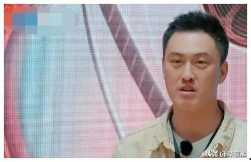 娱乐圈吃瓜爆料演员是谁,吃瓜爆料,揭秘神秘演员身份